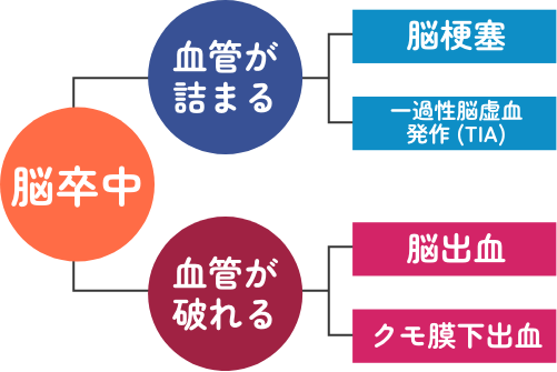 脳血管疾患は、脳の血管が詰まることで発生する脳梗塞、一過性脳虚血発作と脳の血管が破れることで発生する脳出血、クモ膜下出血がある。